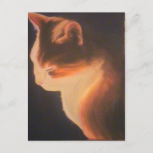Katze im Dunkeln Postkarte
