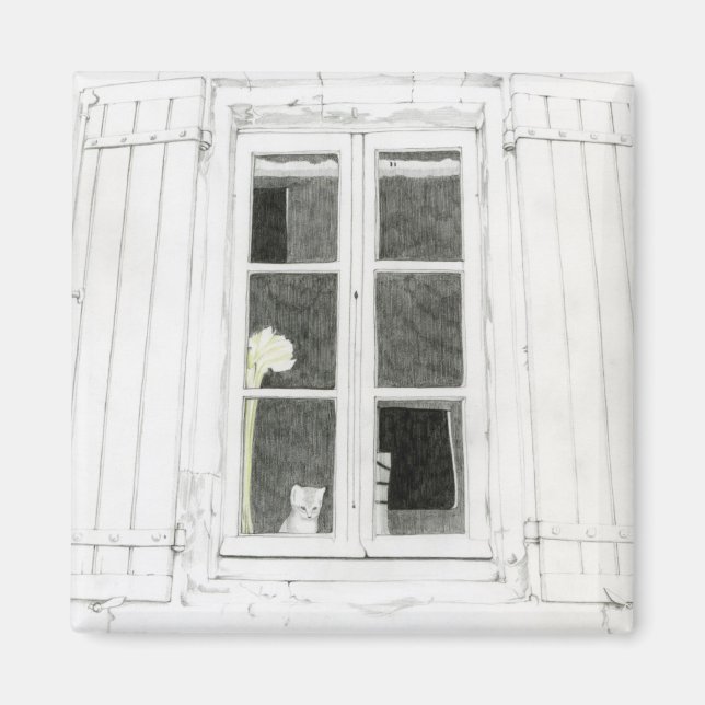 Katze im Fenstermagnet Magnet (Vorne)