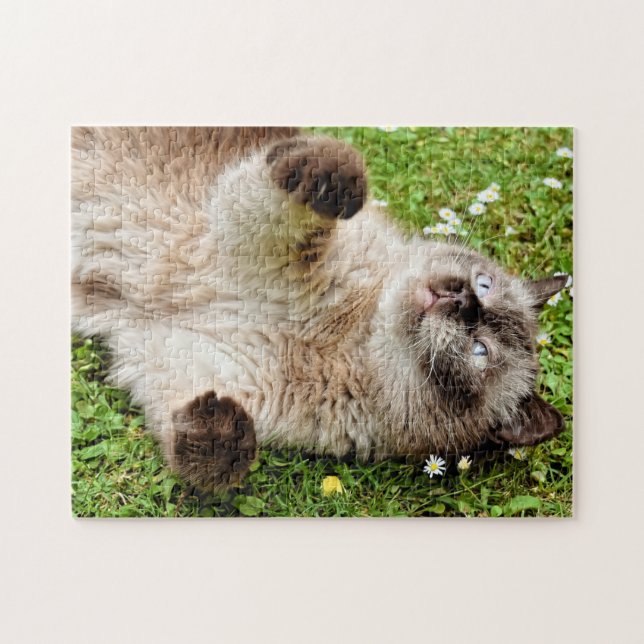 Katze im Garden Puzzle (Horizontal)