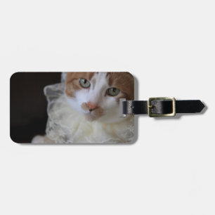 Katze im Halsband Gepäckanhänger