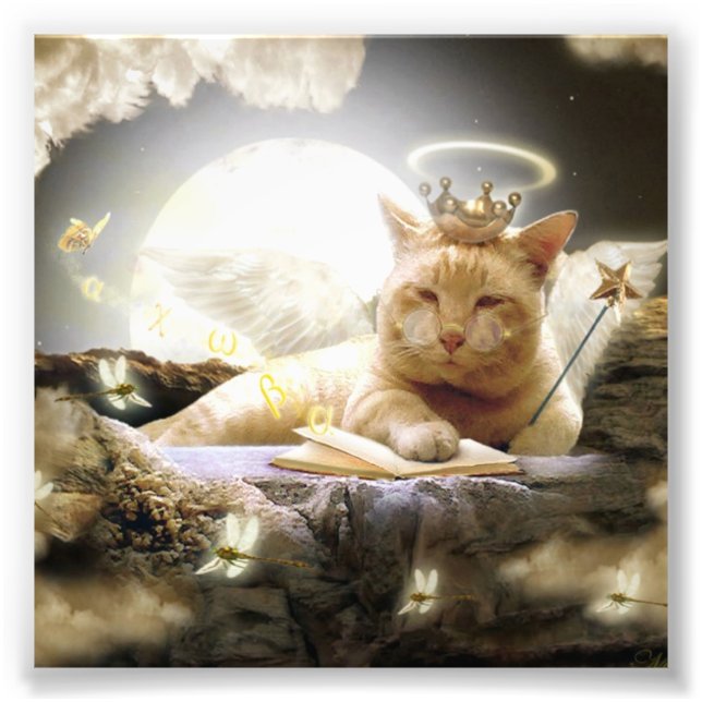 Katze im Himmel Foto Prints. (Vorne)