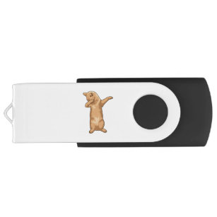 Katze im Hip Hop Dance Dab USB Stick