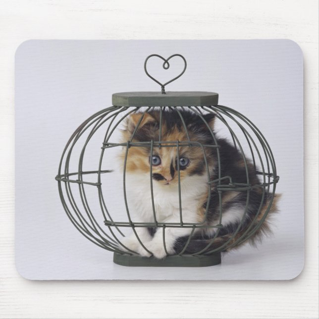Katze im Käfig Mousepad (Vorne)