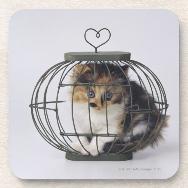 Katze im Käfig Untersetzer (Vorderseite)