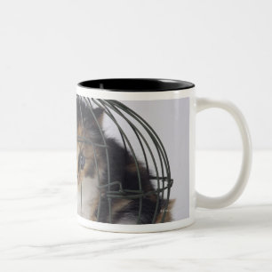 Katze im Käfig Zweifarbige Tasse