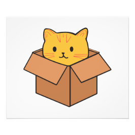 Katze im Karton Fotodruck