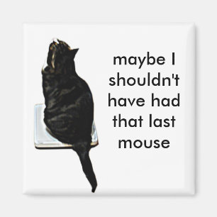 Katze im Maßstab Magnet