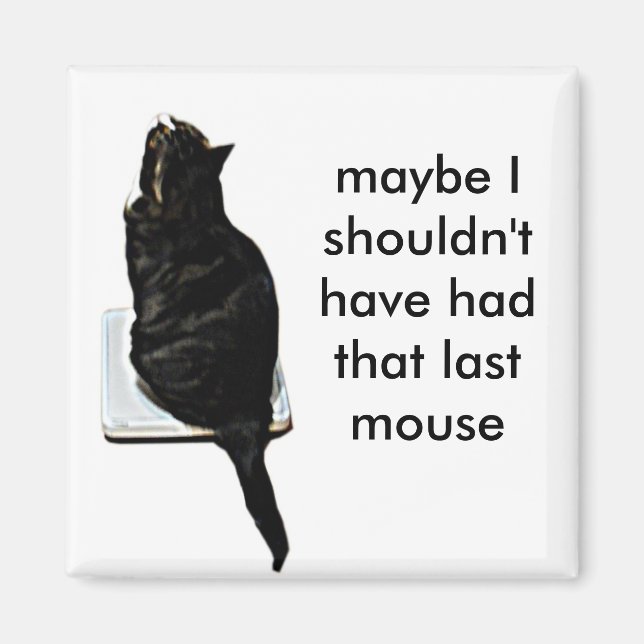 Katze im Maßstab Magnet (Vorne)