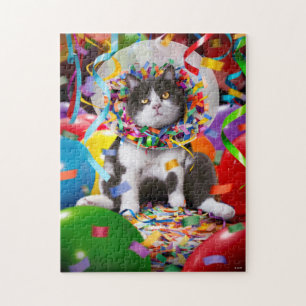 Katze im Party Cone