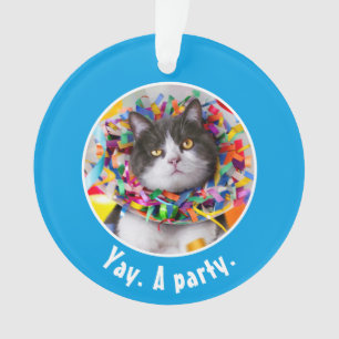 Katze im Party Ornament