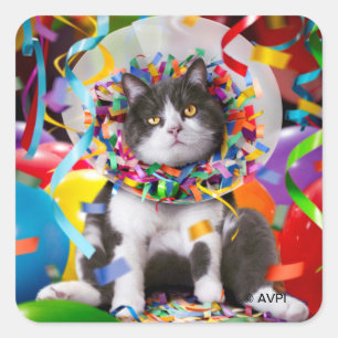 Katze im Party Quadratischer Aufkleber