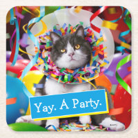 Katze im Party