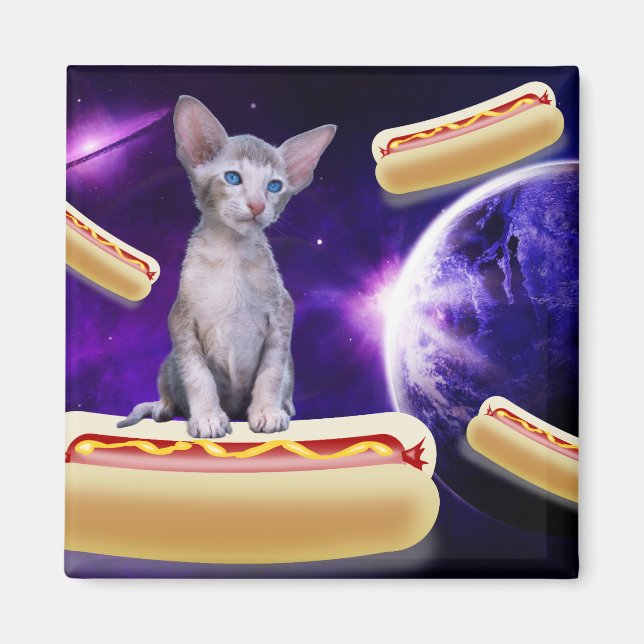 KATZE IM RAHMEN VON HEISSEN HUNDEN MAGNET (Vorne)