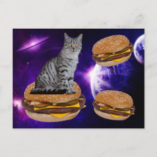 KATZE IM RAUM MIT KÄSTERGERÄTEN POSTCARD POSTKARTE