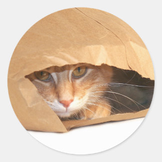 Katze im Sackaufkleber Runder Aufkleber