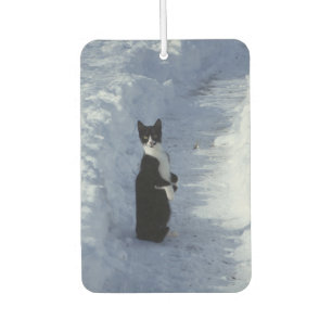 Katze im Schnee Autolufterfrischer