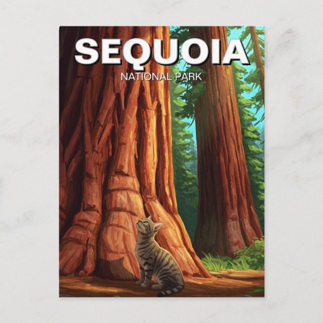 Katze im Sequoia Nationalpark California Postkarte (Vorderseite)