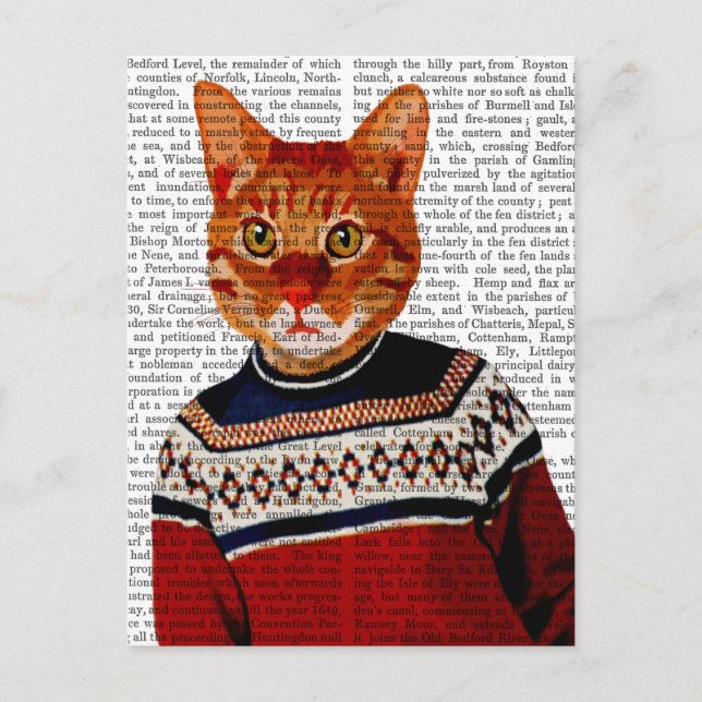 Katze im Ski Sweater 2 Postkarte (Vorderseite)
