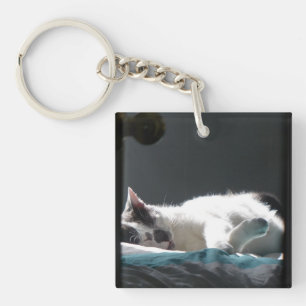 Katze im Sonnenfleck stört nicht Schlüsselanhänger