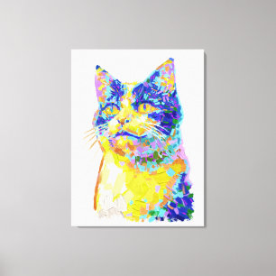 Katze im Sonnenlicht Leinwanddruck