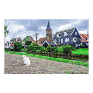 Katze im traditionellen Fischerdorf Fotodruck