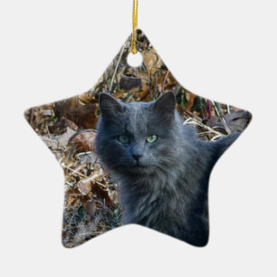 Katze im Wald Keramik Ornament
