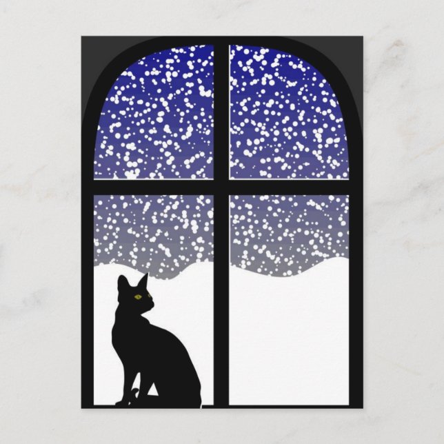 Katze im Winter Postkarte (Vorderseite)