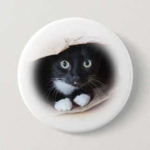 Katze in b AG Button