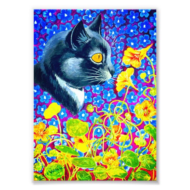 Katze in Blume Fotodruck (Vorne)