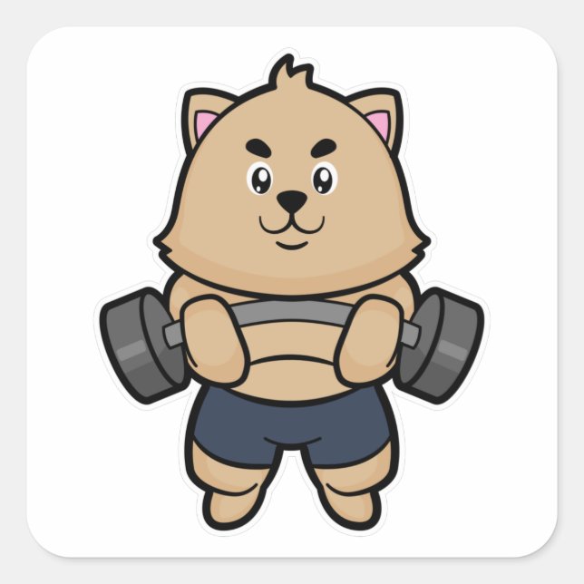 Katze in Bodybuilding mit Barbell Quadratischer Aufkleber (Vorderseite)
