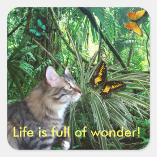 Katze in den Aufklebern im Regenwald Quadratischer Aufkleber