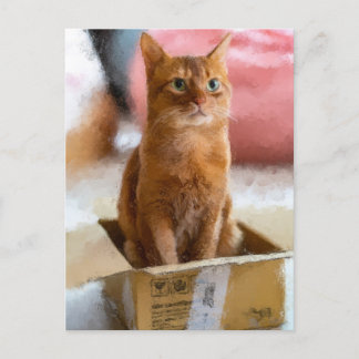 Katze in der Box Niedliche Kitten Digital Art Postkarte