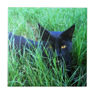 Katze in der Gras-Fliese Fliese