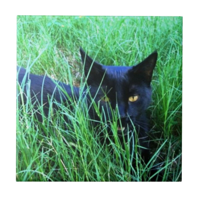Katze in der Gras-Fliese Fliese (Vorderseite)