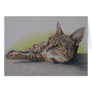 Katze in der Green Card