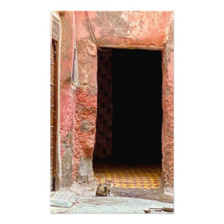 Katze in der Medina - Marrakesch, Marokko Fotodruck