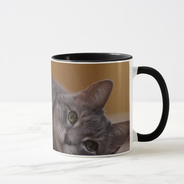 Katze in der niedlichen Pose, die auf dem Boden Tasse (Rechts)