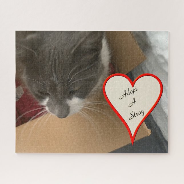 Katze in der Schachtel (Horizontal)