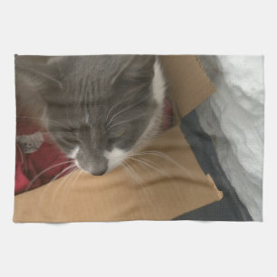 Katze in der Schachtel Geschirrtuch