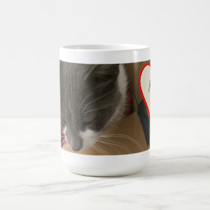 Katze in der Schachtel Kaffeetasse