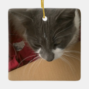 Katze in der Schachtel Keramikornament