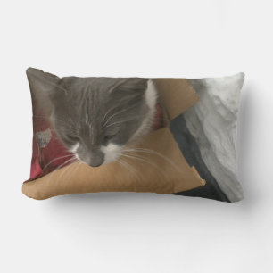 Katze in der Schachtel Lendenkissen