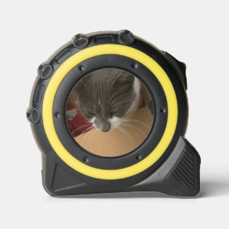Katze in der Schachtel Maßband
