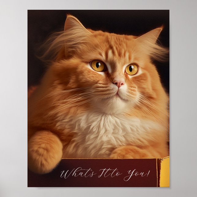 Katze in der Schuhschachtel - sarkastische Katze Poster (Vorne)