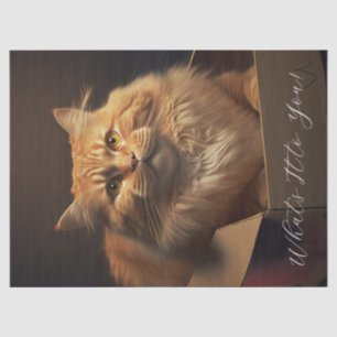 Katze in der Schuhschachtel - sarkastische Katze Seidenpapier