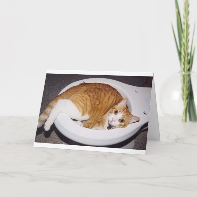Katze in der Toilettenkarte Karte (Vorderseite)
