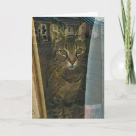 Katze in einem Fenster, das die Gedanken von dir w Karte