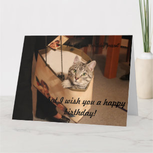 Katze in einem Geschenksack: Big Birthday Card Karte