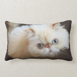 Katze in einem Kasten Lendenkissen