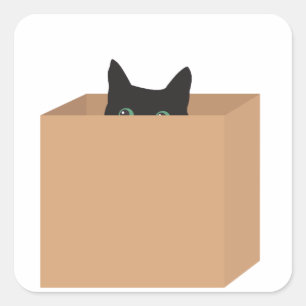 Katze in einem Kasten Quadratischer Aufkleber